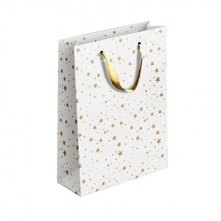 Gold/Silver Patterned Large Gift Bag