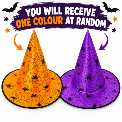 Halloween Assorted Witches Hat