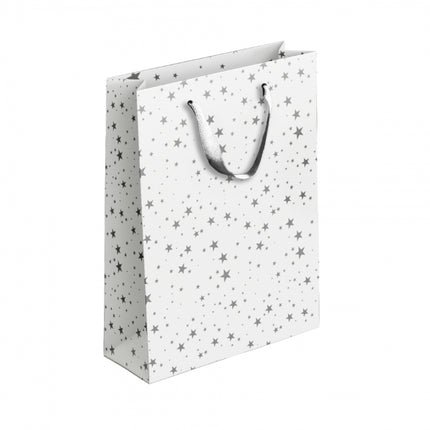 Gold/Silver Patterned Large Gift Bag
