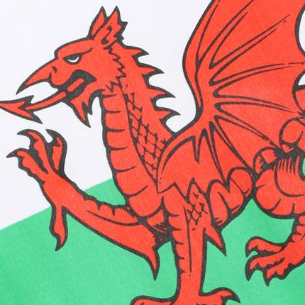 10 Wooden Wales Hand Flags