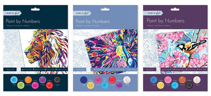 Adults Paint By Numbers