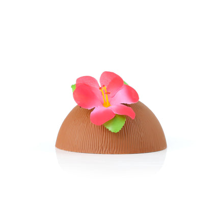 Plastic Coconut Cup & Paper Straw