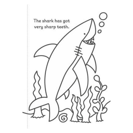 A4 My First Animals/Things That Go Colouring Book