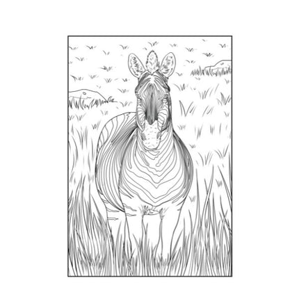 A4 Life on The Savannah Advanced Colouring Book