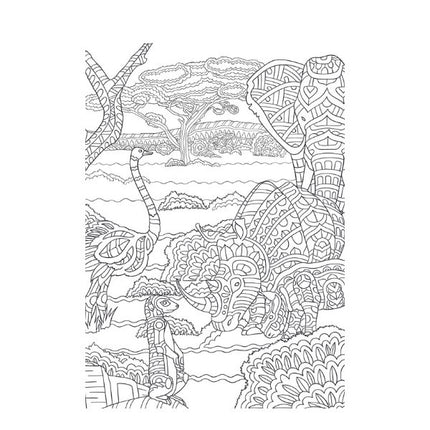 A4 Life on The Savannah Advanced Colouring Book