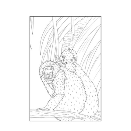 A4 Life in The Jungle Advanced Colouring Book