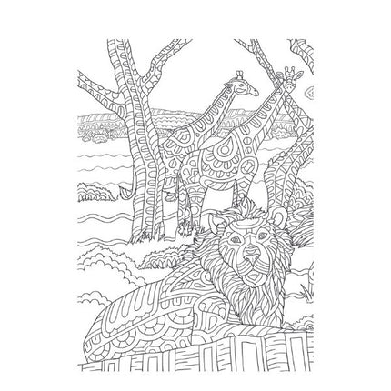 A4 Life on The Savannah Advanced Colouring Book