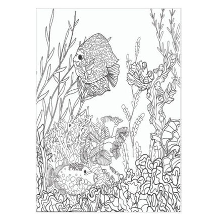 A4 Advanced Colouring Book