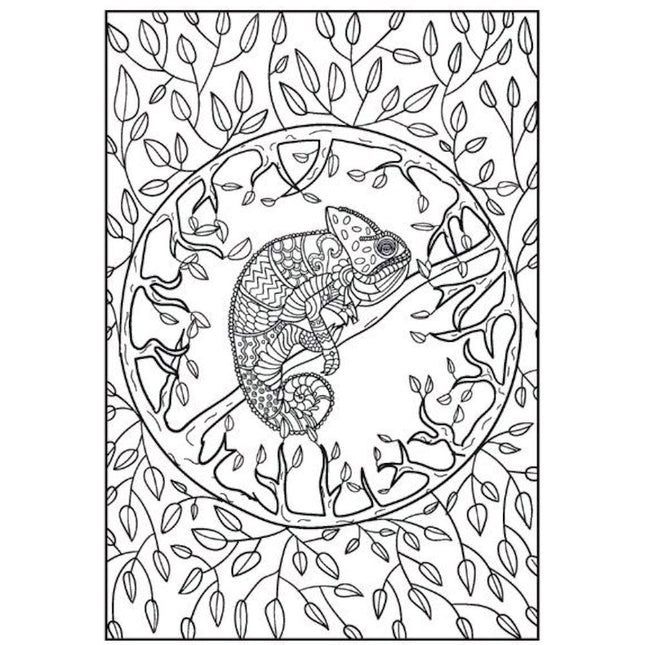 Peaceful/Tranquil A4 Advanced Colouring Book