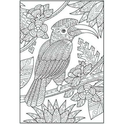 Patterns In Nature Advanced Colouring Book