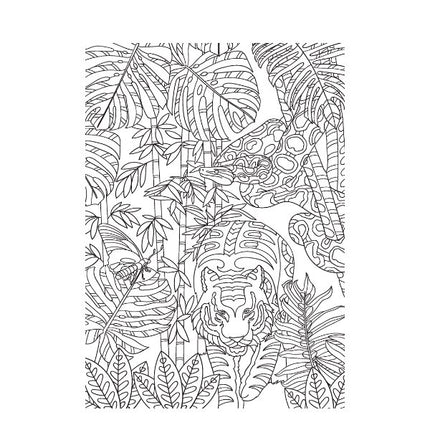 A4 Life in The Jungle Advanced Colouring Book