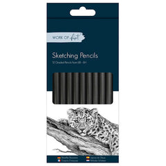 12 Graded Sketching Pencils